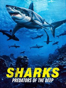 Nonton Sharks: Predators of the Deep 2024